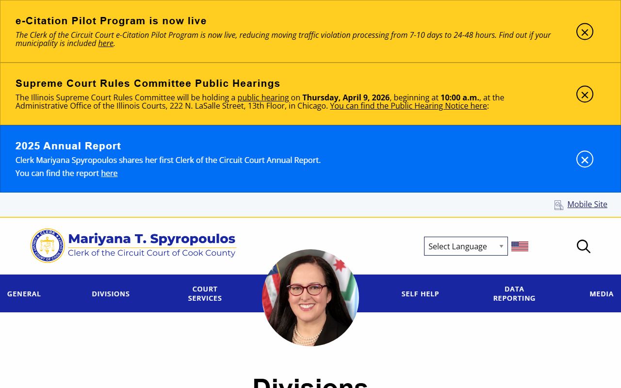 Cook County court divisions handling Chicago family court records