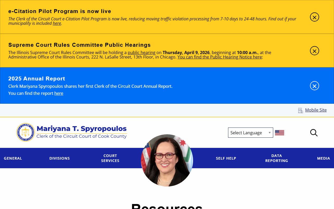 Cook County self-help resources for family court records